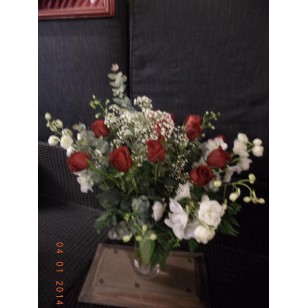 Roses GLAUCUS 12x XXXL 60 cm Nr 701 